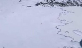 南极最新爆料视频网,揭秘神秘冰原下的秘密世界