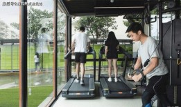 成都房姐最新爆料事件,揭秘豪宅背后的惊人真相