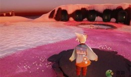 光遇季节别联动最新爆料,春之序曲，夏之热情，秋之静谧，冬之温暖——四大季节联动最新爆料揭秘