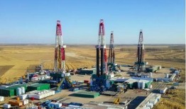 大庆油田爆料最新消息,重大发现或将改写我国能源格局