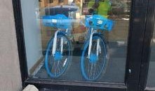 长春自行车爆料最新消息