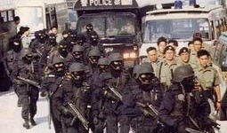 香港警队最新爆料,揭秘黑帮势力与犯罪网络内幕