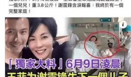 最新王菲爆料新闻事件,揭秘娱乐圈不为人知的秘密