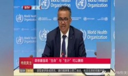 最新爆料谭德塞,揭秘全球疫情背后的真相与挑战”