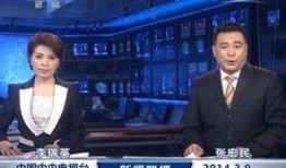 新闻主播最新爆料,新闻主播最新爆料，带你直击事件真相