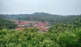 岳山最新爆料,揭秘娱乐圈最新热点事件内幕