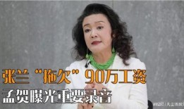 张兰录音爆料大全最新,揭秘商业帝国背后的惊人内幕